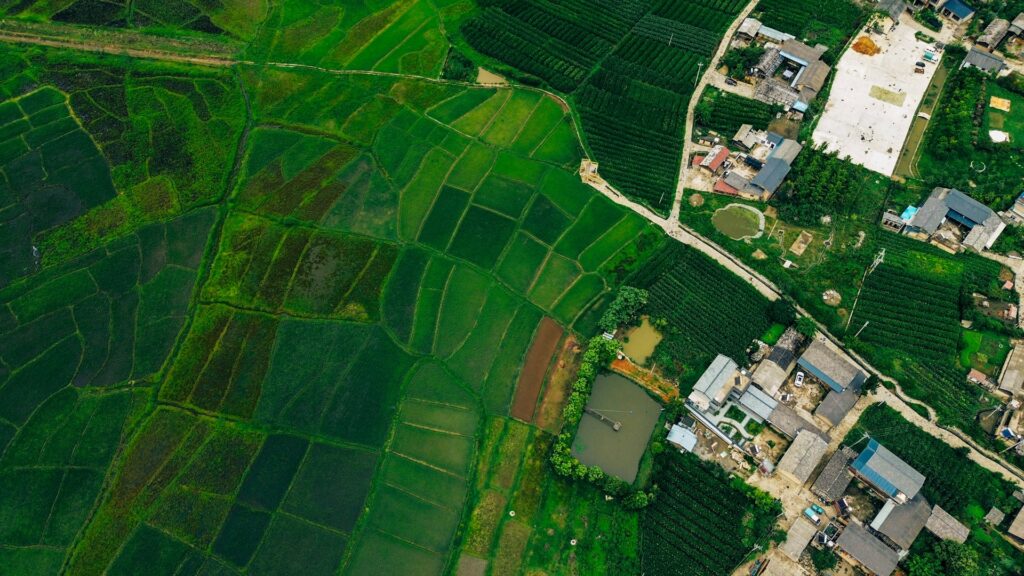an aerial view of a village in the countryside