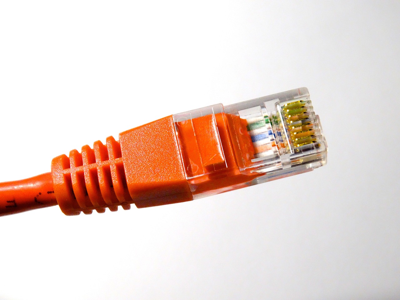 lan plug, connection, lan, www, internet, intranet, data cable, data transfer, network, network cable, lan, lan, lan, intranet, intranet, intranet, intranet, intranet